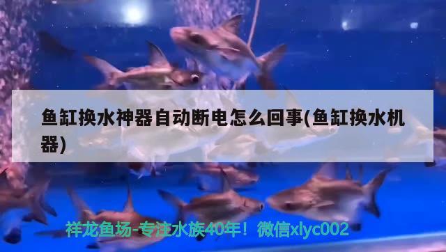 鱼缸换水神器自动断电怎么回事(鱼缸换水机器) 双线侧鱼 第2张