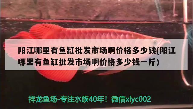 阳江哪里有鱼缸批发市场啊价格多少钱(阳江哪里有鱼缸批发市场啊价格多少钱一斤)