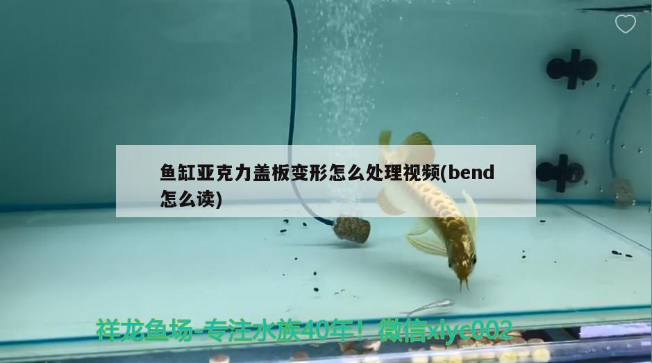 鱼缸亚克力盖板变形怎么处理视频(bend怎么读)