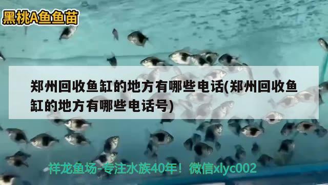 郑州回收鱼缸的地方有哪些电话(郑州回收鱼缸的地方有哪些电话号)