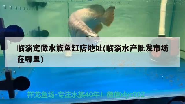 临淄定做水族鱼缸店地址(临淄水产批发市场在哪里)