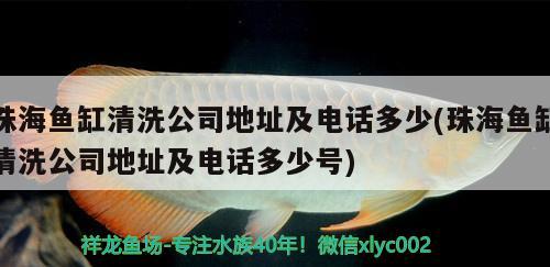 珠海鱼缸清洗公司地址及电话多少(珠海鱼缸清洗公司地址及电话多少号)