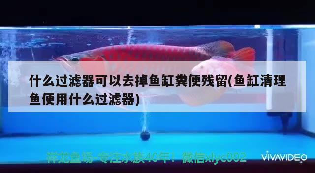 什么过滤器可以去掉鱼缸粪便残留(鱼缸清理鱼便用什么过滤器)