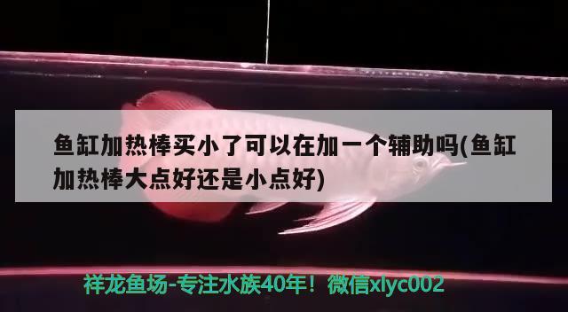 鱼缸加热棒买小了可以在加一个辅助吗(鱼缸加热棒大点好还是小点好) 黄金梦幻雷龙鱼 第2张