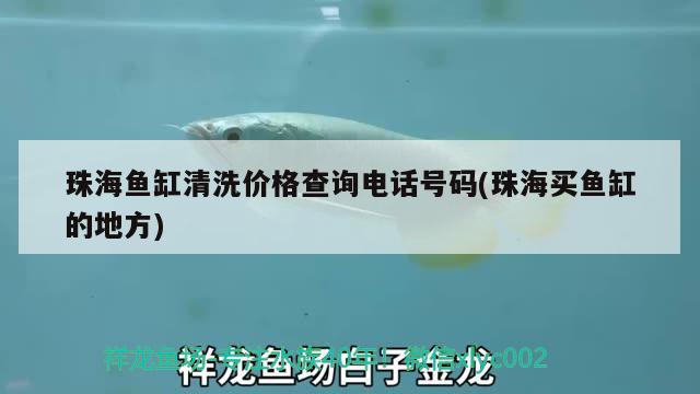 珠海鱼缸清洗价格查询电话号码(珠海买鱼缸的地方)