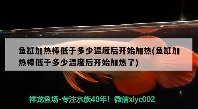 鱼缸加热棒低于多少温度后开始加热(鱼缸加热棒低于多少温度后开始加热了)