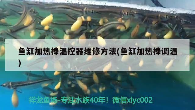 鱼缸加热棒温控器维修方法(鱼缸加热棒调温) 广州水族批发市场