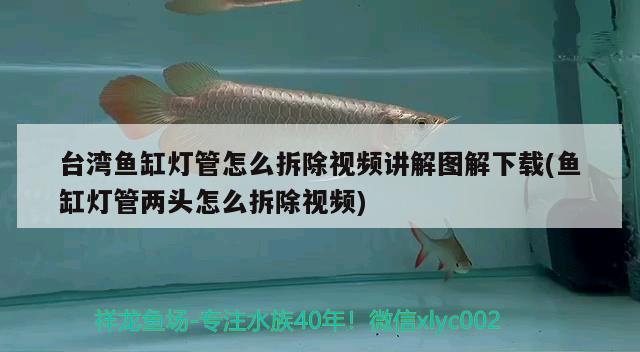 台湾鱼缸灯管怎么拆除视频讲解图解下载(鱼缸灯管两头怎么拆除视频)