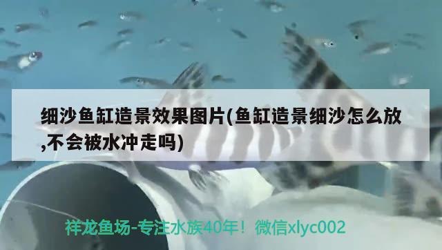 细沙鱼缸造景效果图片(鱼缸造景细沙怎么放,不会被水冲走吗) 温控设备 第2张