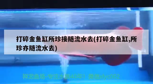 打碎金鱼缸所珍接随流水去(打碎金鱼缸,所珍亦随流水去)