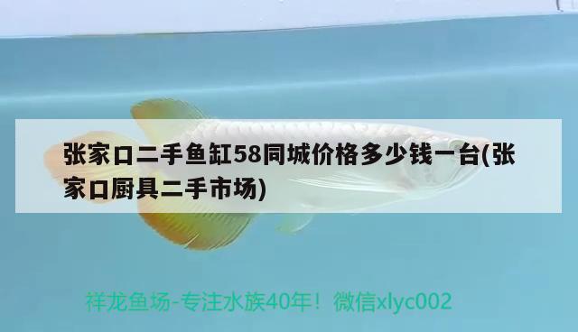 张家口二手鱼缸58同城价格多少钱一台(张家口厨具二手市场) 白玉红龙鱼