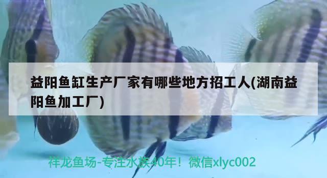 益阳鱼缸生产厂家有哪些地方招工人(湖南益阳鱼加工厂) 大湖红龙鱼