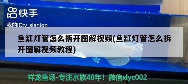 鱼缸灯管怎么拆开图解视频(鱼缸灯管怎么拆开图解视频教程)