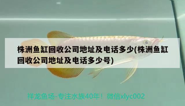 株洲鱼缸回收公司地址及电话多少(株洲鱼缸回收公司地址及电话多少号)