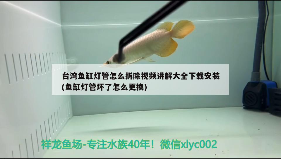 台湾鱼缸灯管怎么拆除视频讲解大全下载安装(鱼缸灯管坏了怎么更换)