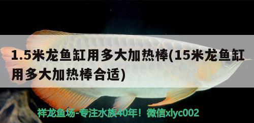 1.5米龙鱼缸用多大加热棒(15米龙鱼缸用多大加热棒合适) 水温计