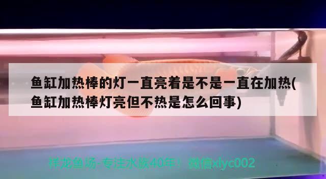 鱼缸加热棒的灯一直亮着是不是一直在加热(鱼缸加热棒灯亮但不热是怎么回事)