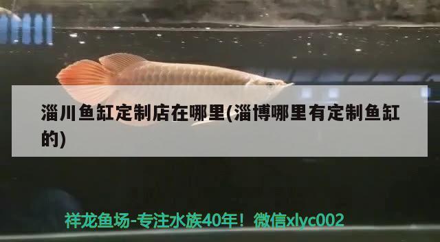 淄川鱼缸定制店在哪里(淄博哪里有定制鱼缸的) 龙鱼百科