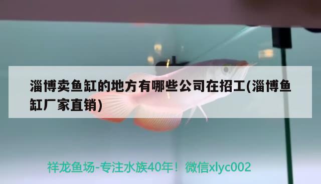 淄博卖鱼缸的地方有哪些公司在招工(淄博鱼缸厂家直销) 非洲金鼓鱼