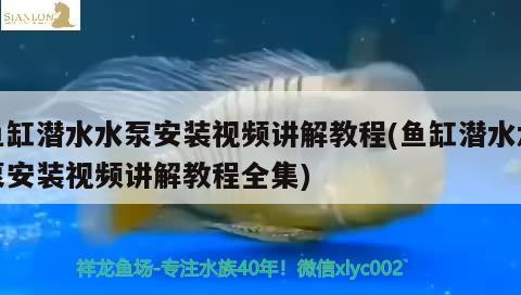 鱼缸潜水水泵安装视频讲解教程(鱼缸潜水水泵安装视频讲解教程全集)