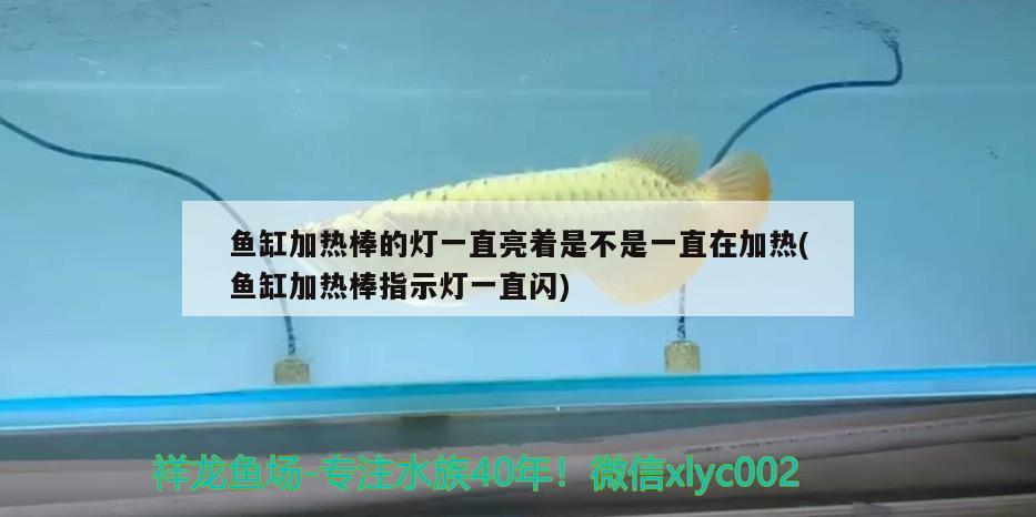 鱼缸加热棒的灯一直亮着是不是一直在加热(鱼缸加热棒指示灯一直闪) 圣菲埃及鱼 第2张