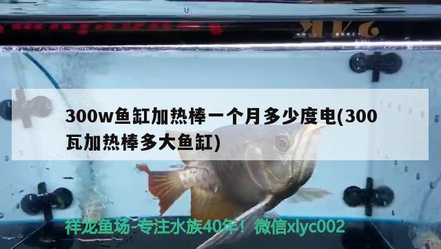 300w鱼缸加热棒一个月多少度电(300瓦加热棒多大鱼缸) 祥龙水族护理水