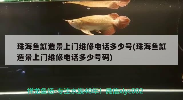 珠海鱼缸造景上门维修电话多少号(珠海鱼缸造景上门维修电话多少号码)