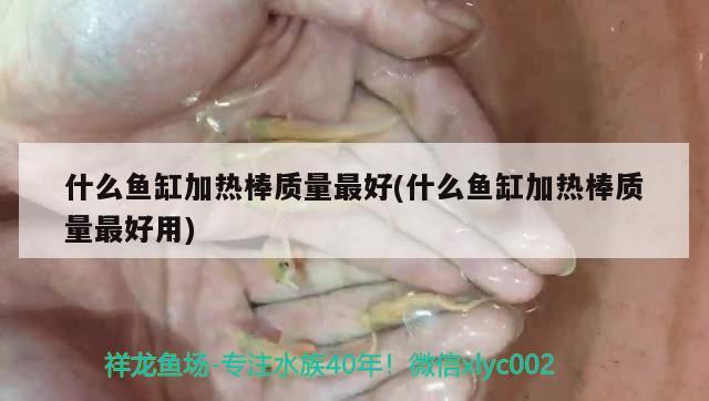 什么鱼缸加热棒质量最好(什么鱼缸加热棒质量最好用) 慈雕鱼