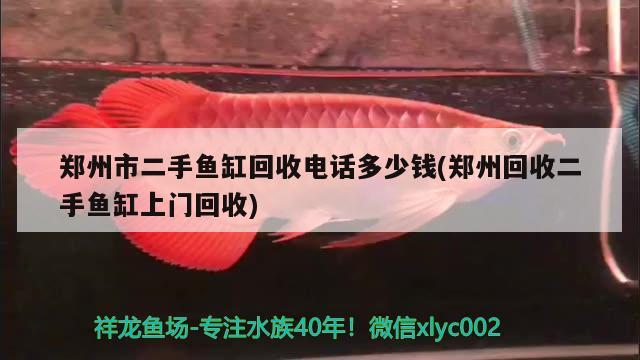 郑州市二手鱼缸回收电话多少钱(郑州回收二手鱼缸上门回收) 祥龙鱼场其他产品