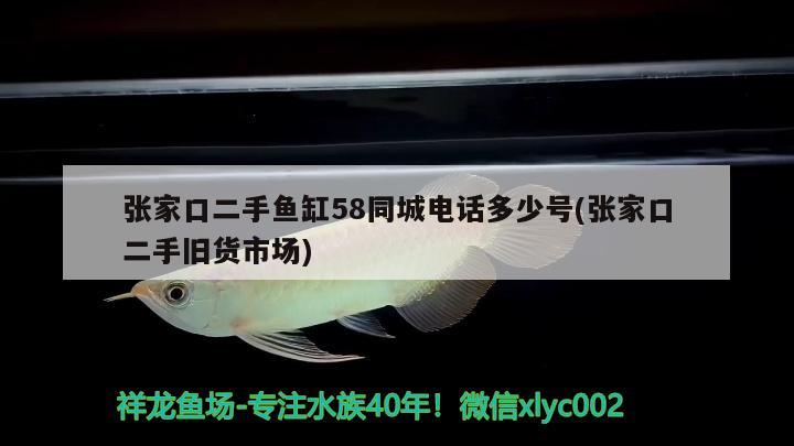 张家口二手鱼缸58同城电话多少号(张家口二手旧货市场) 非洲象鼻鱼