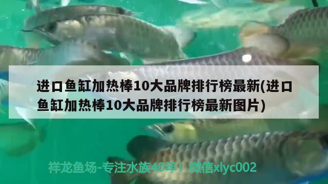 进口鱼缸加热棒10大品牌排行榜最新(进口鱼缸加热棒10大品牌排行榜最新图片) 鱼缸水泵