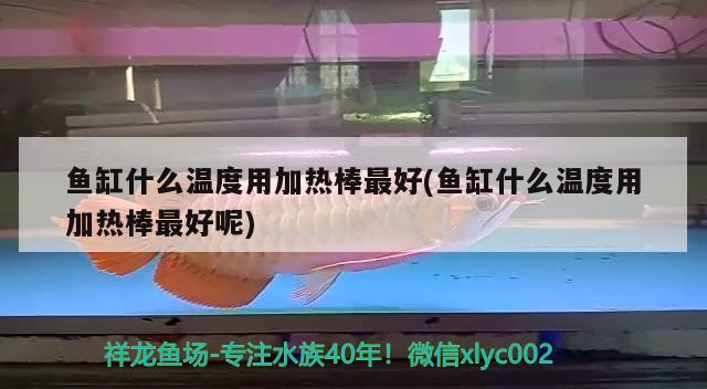 鱼缸什么温度用加热棒最好(鱼缸什么温度用加热棒最好呢) 帝王血钻