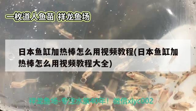 日本鱼缸加热棒怎么用视频教程(日本鱼缸加热棒怎么用视频教程大全)