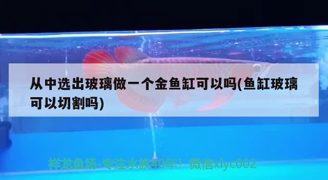 从中选出玻璃做一个金鱼缸可以吗(鱼缸玻璃可以切割吗) 广州水族批发市场