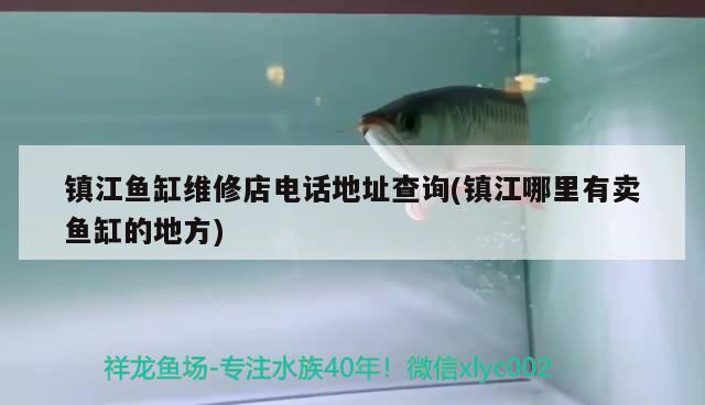 镇江鱼缸维修店电话地址查询(镇江哪里有卖鱼缸的地方) 白化火箭