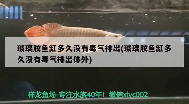 玻璃胶鱼缸多久没有毒气排出(玻璃胶鱼缸多久没有毒气排出体外) 祥龙水族护理水