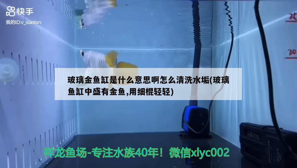 玻璃金鱼缸是什么意思啊怎么清洗水垢(玻璃鱼缸中盛有金鱼,用细棍轻轻) 二氧化碳设备