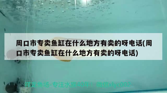 周口市专卖鱼缸在什么地方有卖的呀电话(周口市专卖鱼缸在什么地方有卖的呀电话)