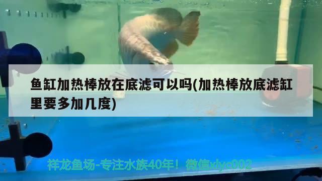 鱼缸加热棒放在底滤可以吗(加热棒放底滤缸里要多加几度)