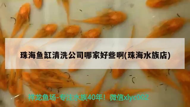 珠海鱼缸清洗公司哪家好些啊(珠海水族店) 哥伦比亚巨暴鱼苗