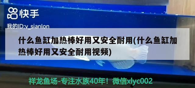 什么鱼缸加热棒好用又安全耐用(什么鱼缸加热棒好用又安全耐用视频)