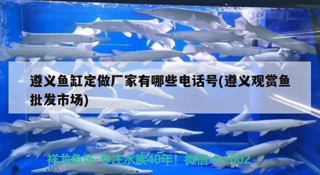 遵义鱼缸定做厂家有哪些电话号(遵义观赏鱼批发市场) 观赏鱼批发 第2张