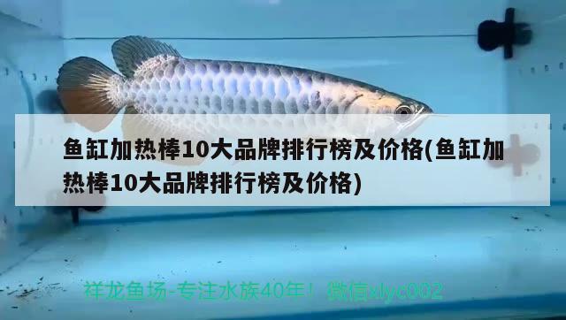 鱼缸加热棒10大品牌排行榜及价格(鱼缸加热棒10大品牌排行榜及价格)