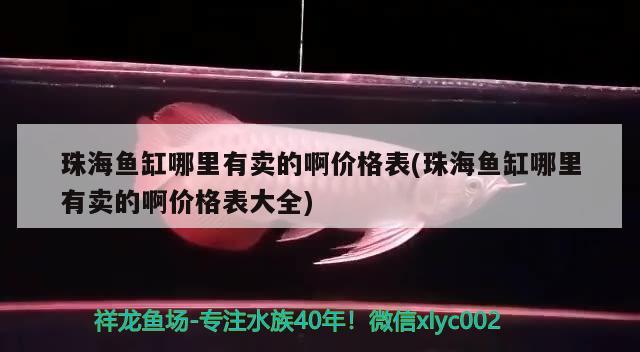 珠海鱼缸哪里有卖的啊价格表(珠海鱼缸哪里有卖的啊价格表大全)