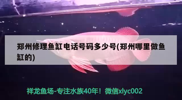 郑州修理鱼缸电话号码多少号(郑州哪里做鱼缸的) 黑白双星鱼 第2张