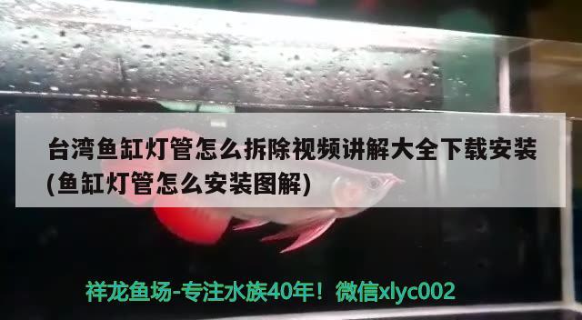 台湾鱼缸灯管怎么拆除视频讲解大全下载安装(鱼缸灯管怎么安装图解)