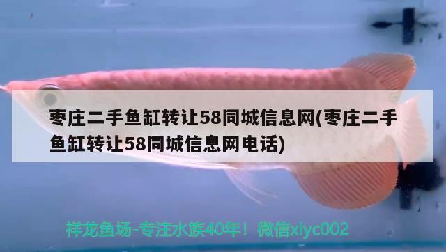 枣庄二手鱼缸转让58同城信息网(枣庄二手鱼缸转让58同城信息网电话)