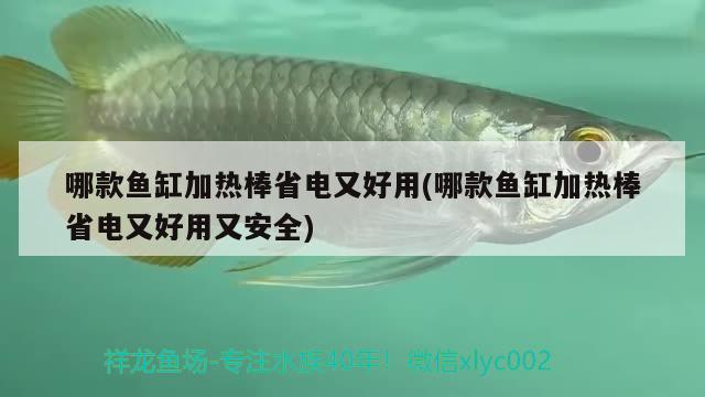 哪款鱼缸加热棒省电又好用(哪款鱼缸加热棒省电又好用又安全) 红勾银版鱼