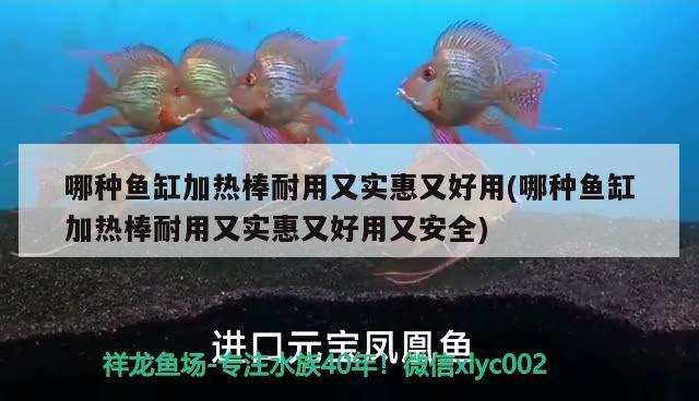 哪种鱼缸加热棒耐用又实惠又好用(哪种鱼缸加热棒耐用又实惠又好用又安全) 观赏鱼进出口