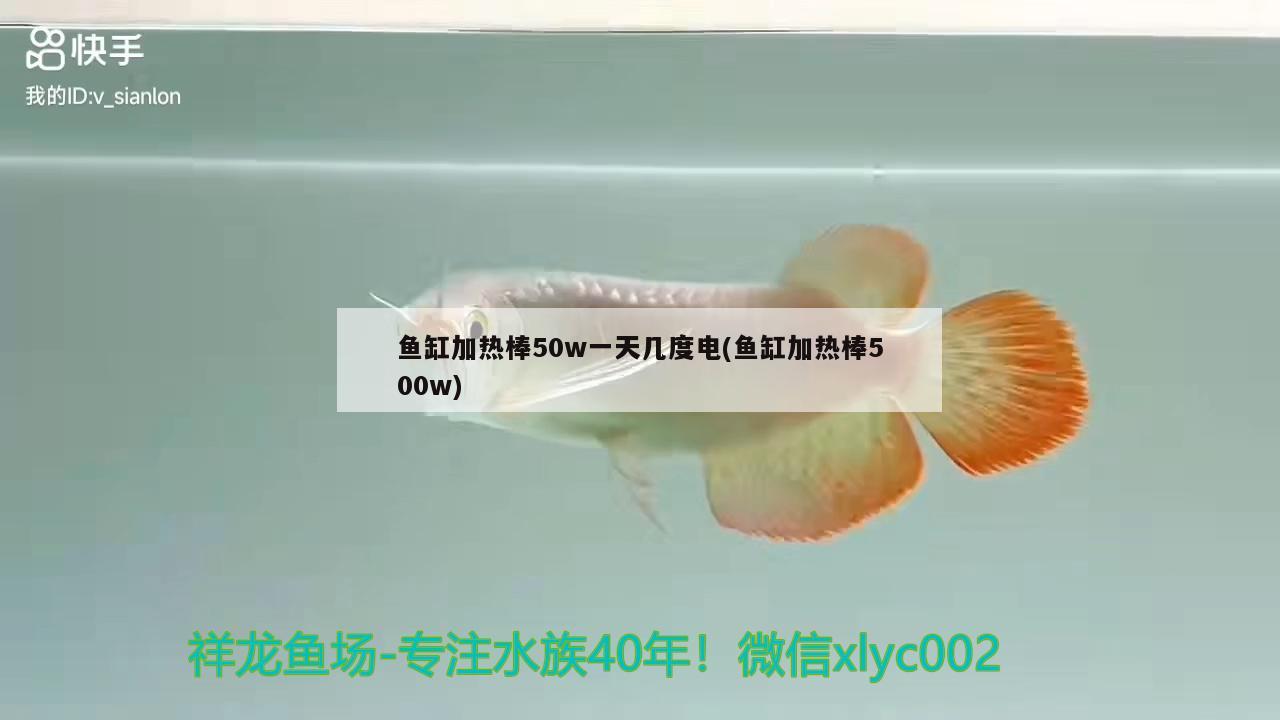 鱼缸加热棒50w一天几度电(鱼缸加热棒500w)